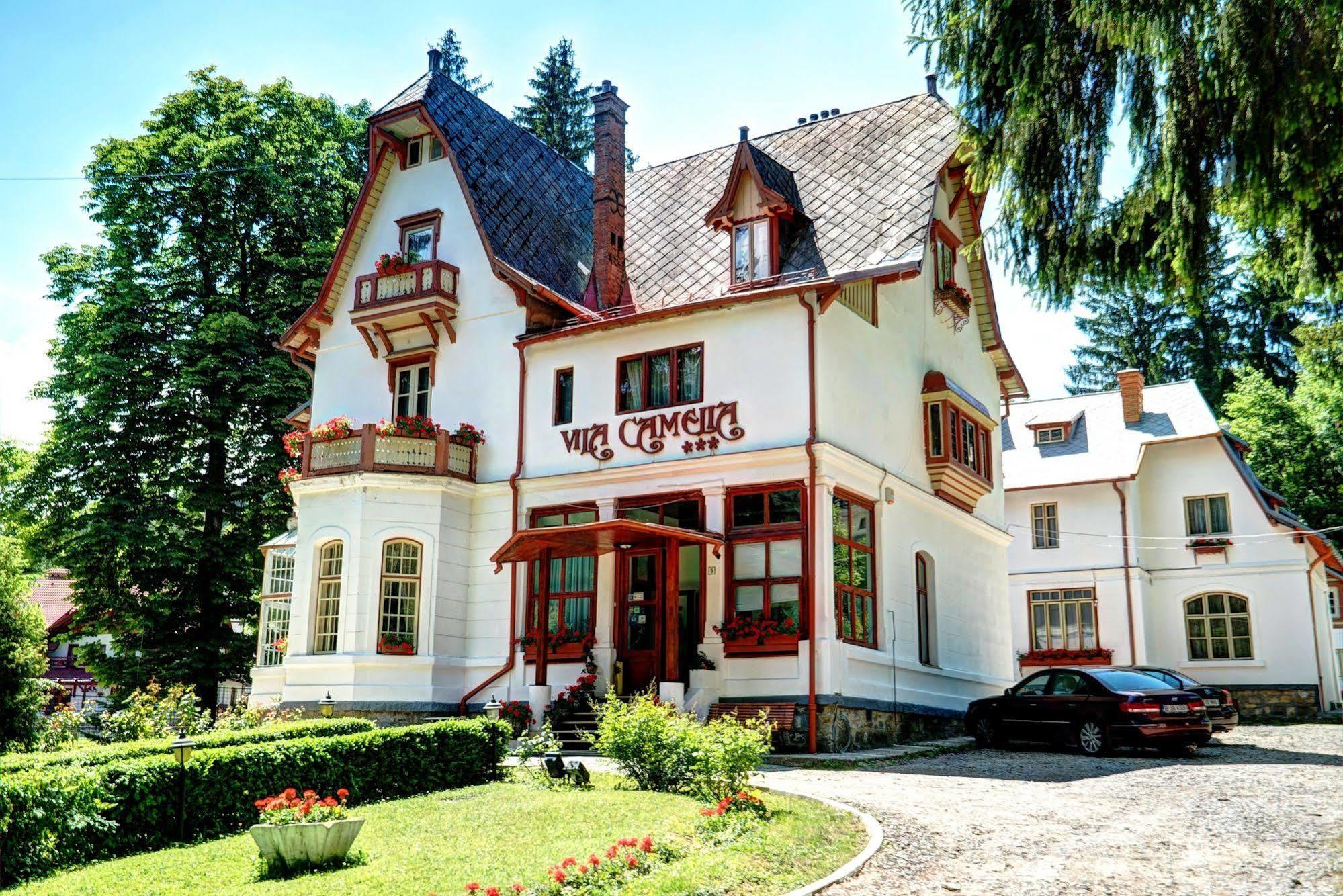 Vila Camelia Hotel Sinaia Luaran gambar